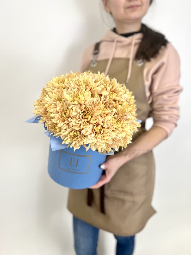 Букет из 15 цветных хризантем в шляпной коробке Букет из 15 цветных хризантем в шляпной коробке