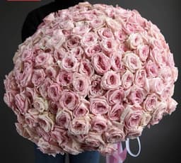 Букет из 201 Пионовидной Розы "Пинк Охара"