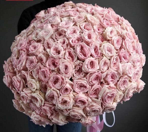 Букет из 201 Пионовидной Розы pink O’Hara