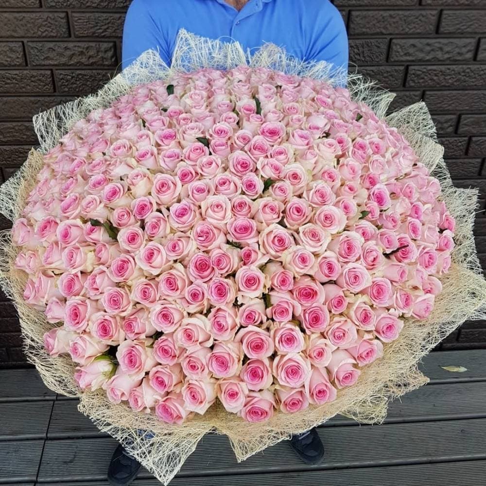 Красивый букет из 201 розовой Розы Эквадор в сизале 70 см