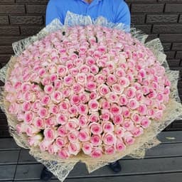 Красивый букет из 201 розовой Розы Эквадор в сизале 70 см