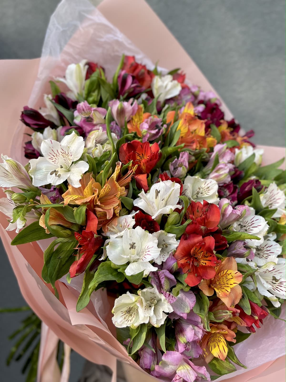 Красивый букет из 25 Альстромерий микс в матовой бумаге