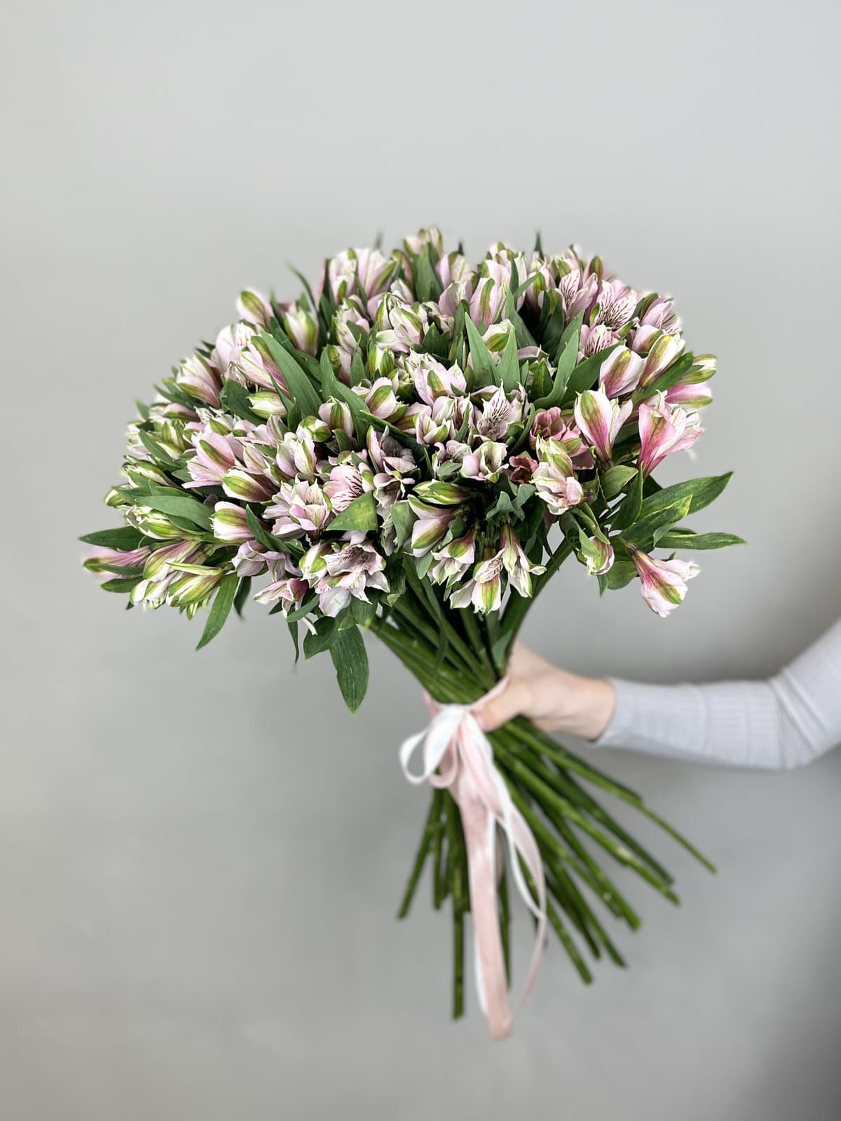 Свежий букет из 25 альстромерий "Primadonna"