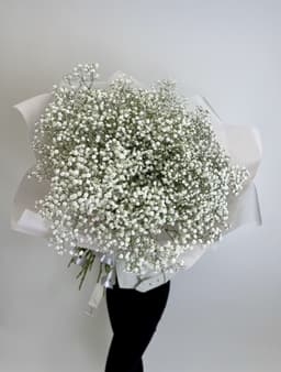 Букет из 25 белой Гипсофилы в матовой бумаге