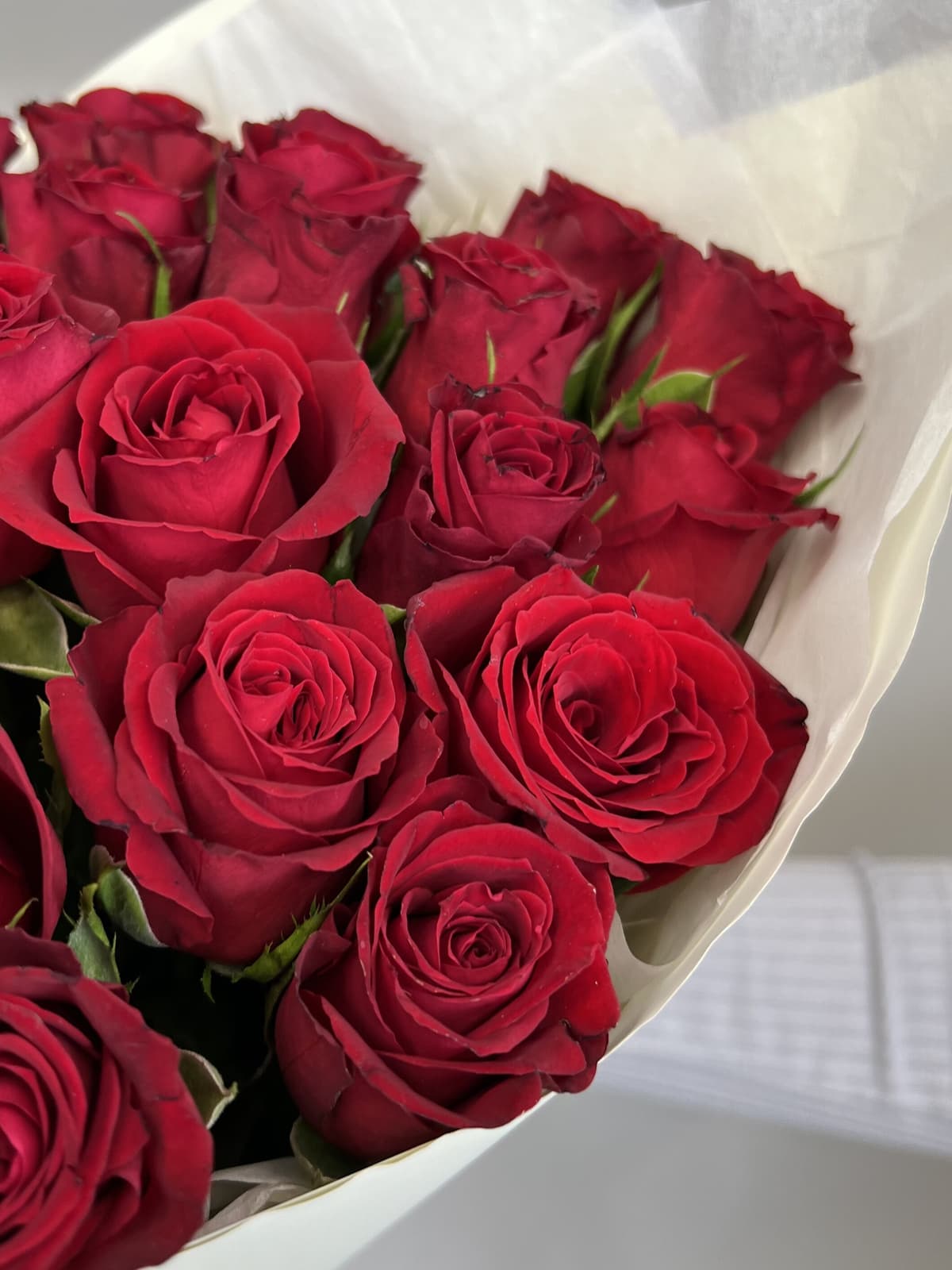 Красивый букет из 25 красных роз Кения 35-40 см в матовой бумаге