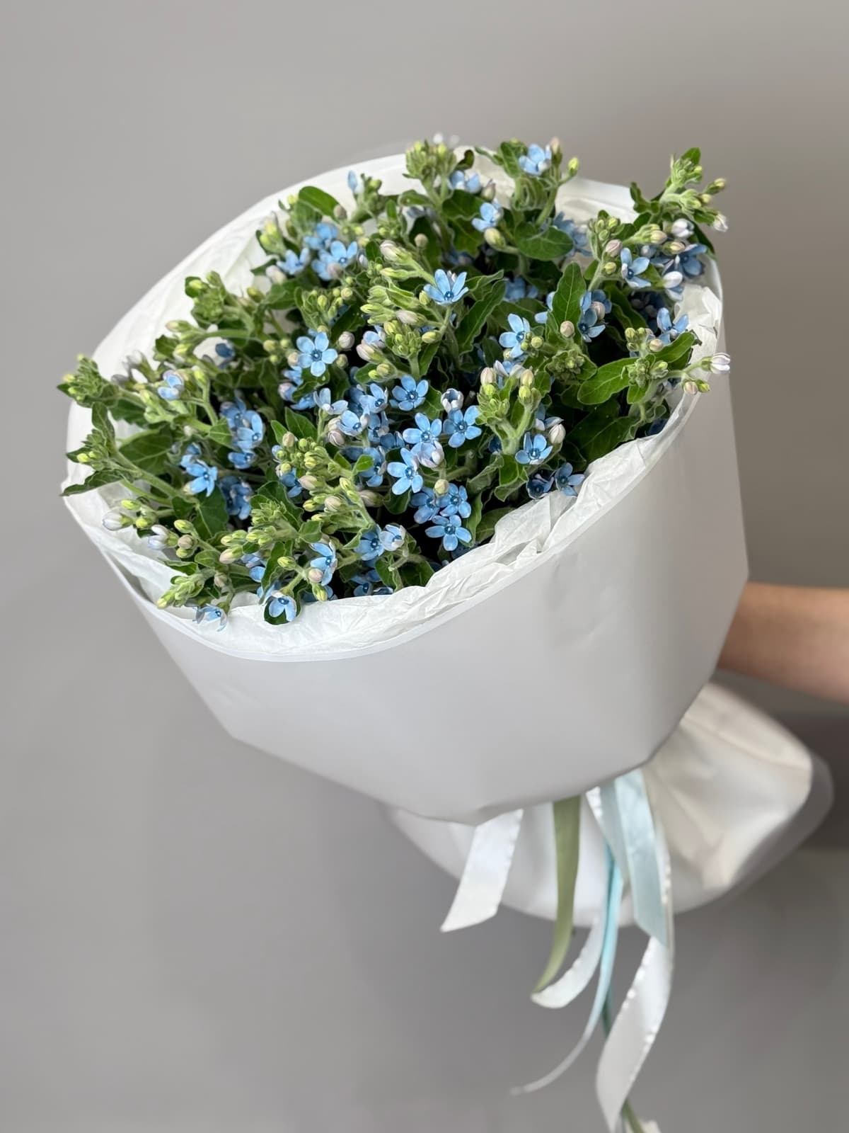 Букет из 25 незабудок