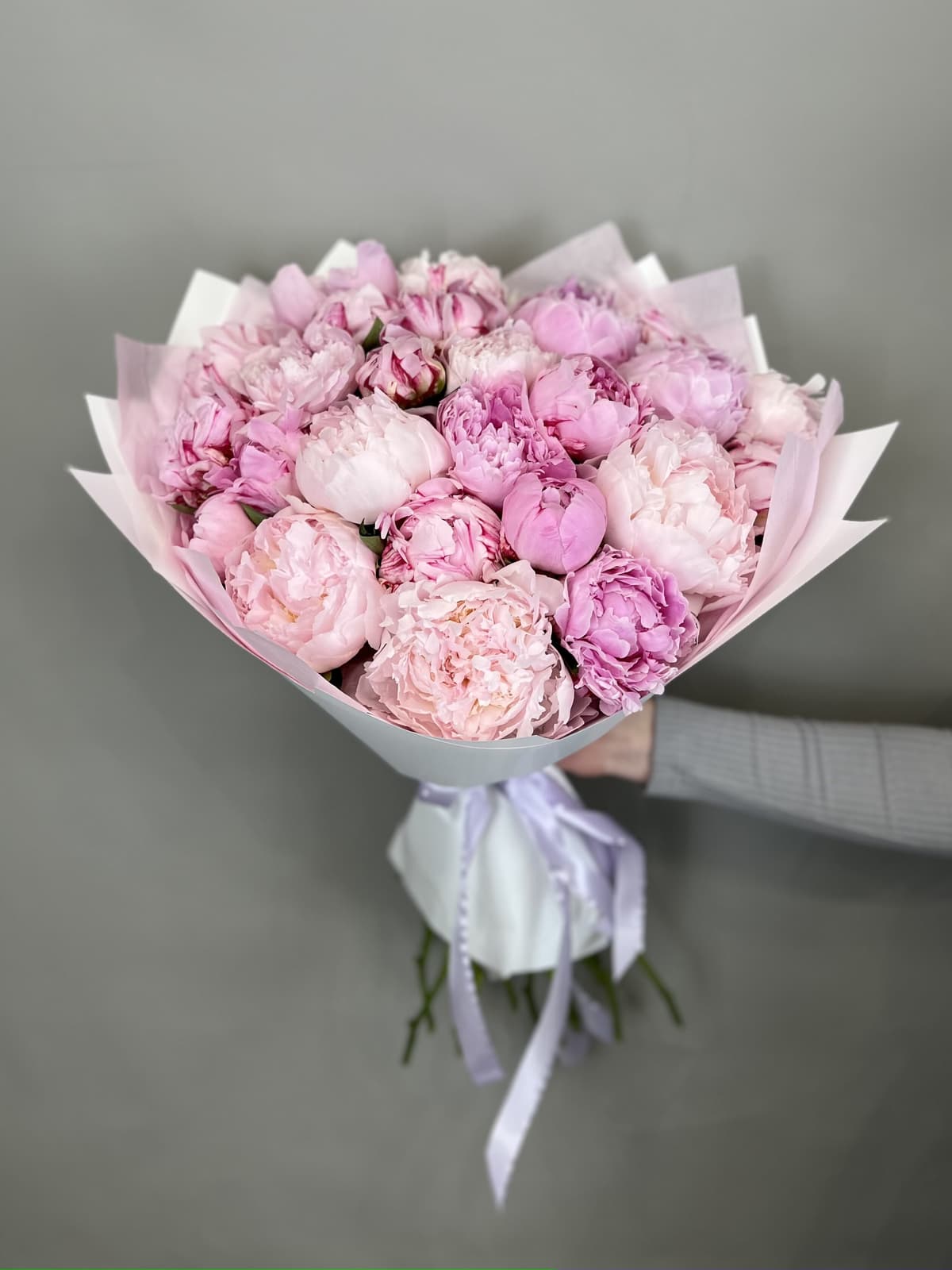 Красивый букет из 25 Пионов Sara Bernard