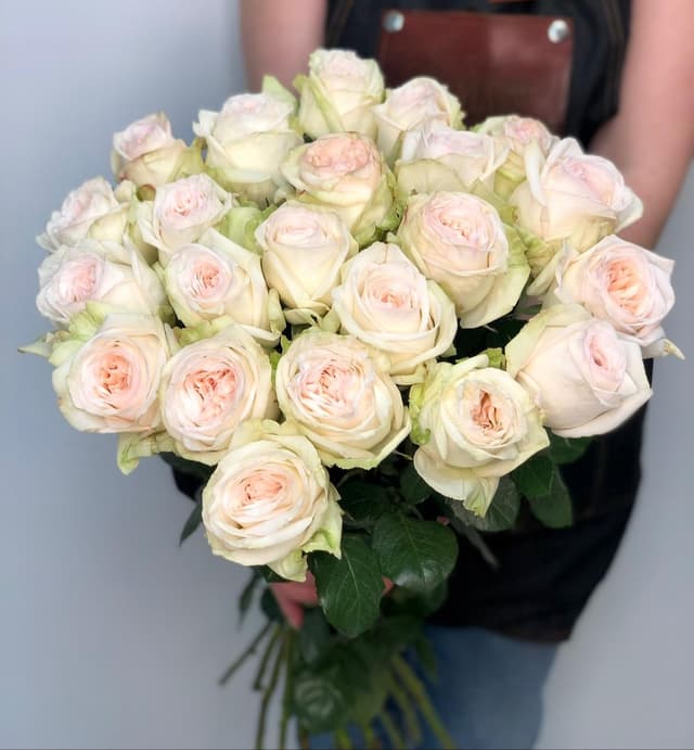 Букет из 25 Пионовидных Роз white O’Hara Букет из 25 Пионовидных Роз white O’Hara