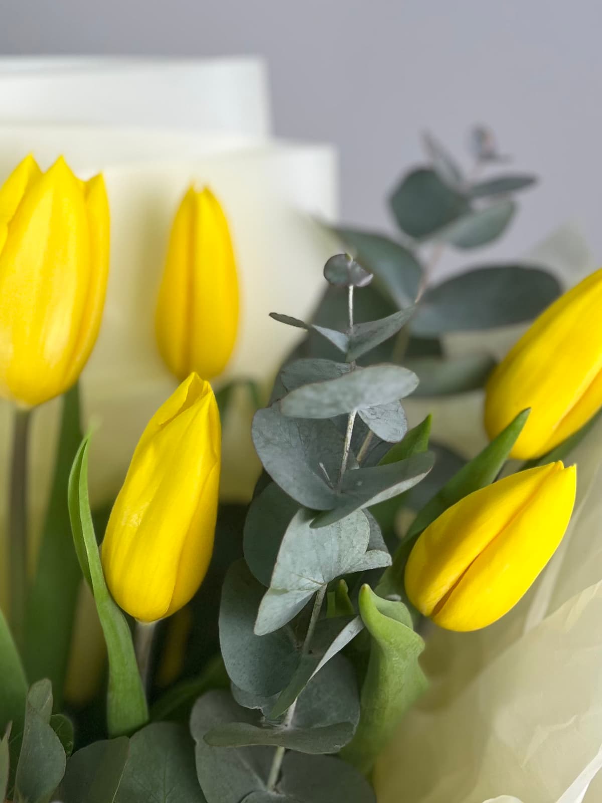 Букет из 25 желтых тюльпанов в фирменной упаковке