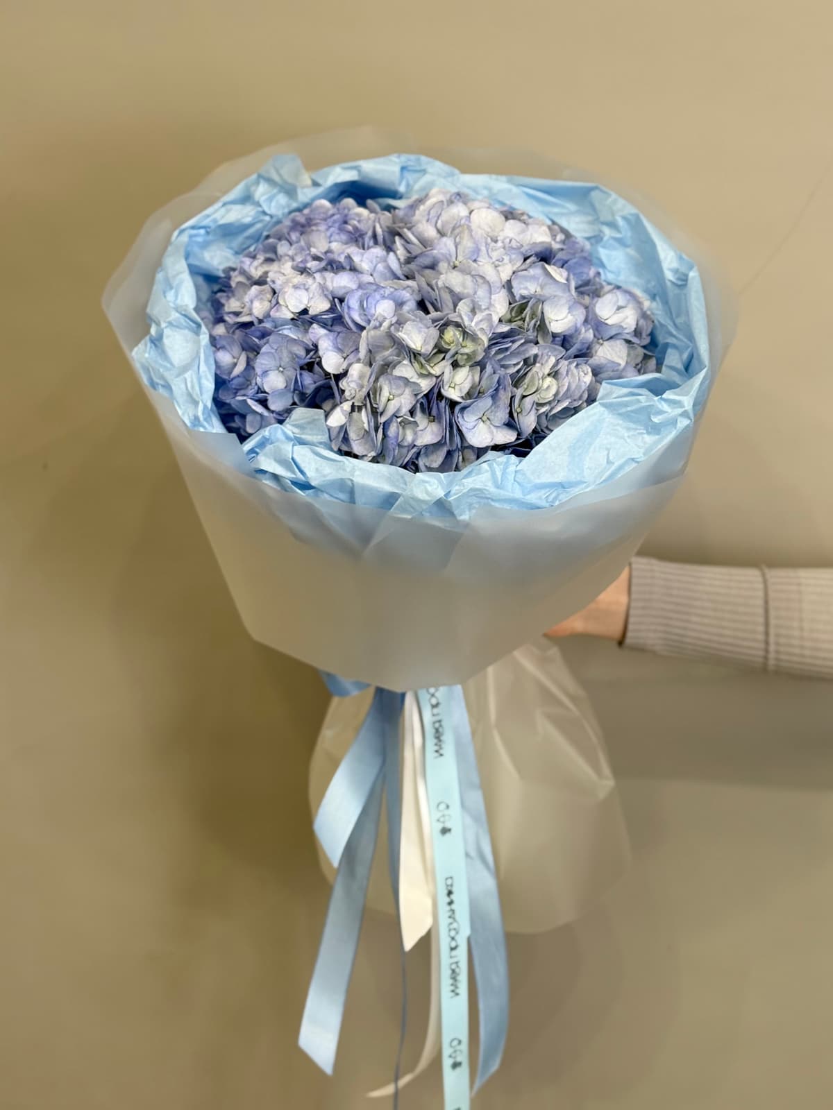 Букет из 3 голубых гортензий в фирменной упаковке