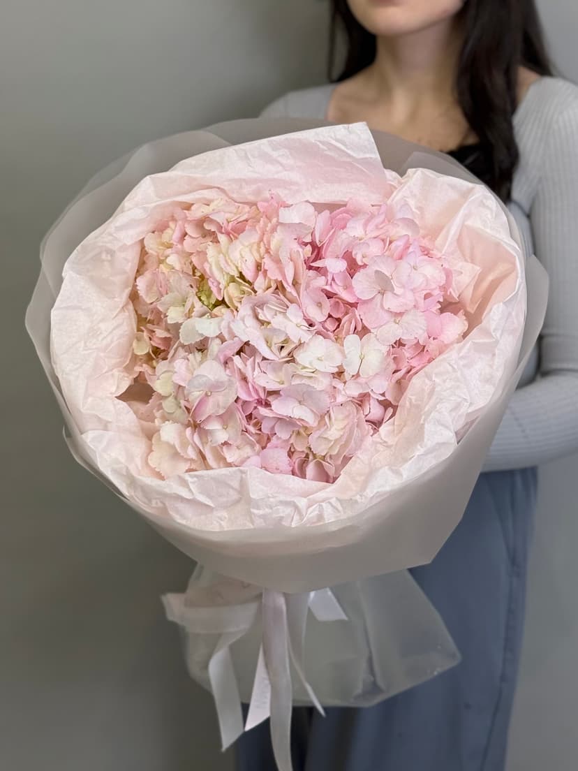 Гортензия Гортензия