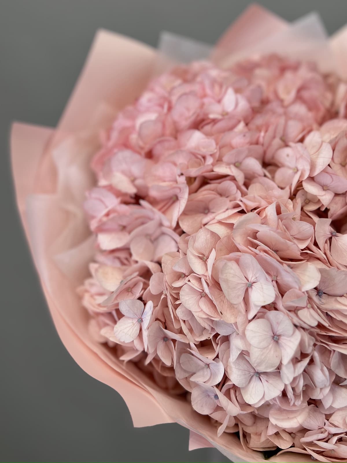 Нежный букет из 3 розовых гортензий