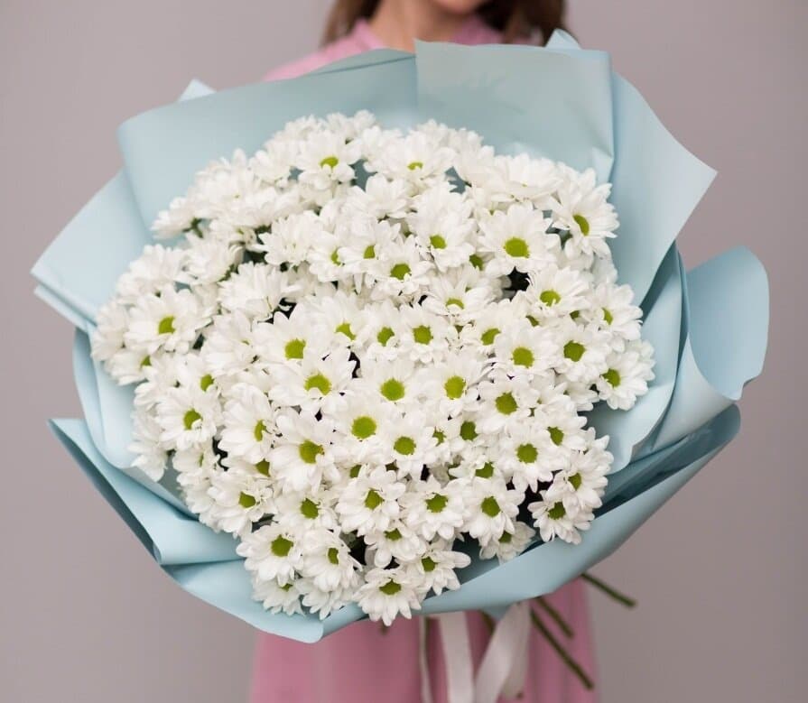 Стильный букет из 31 кустовой хризантемы в матовой бумаге (цвет на выбор)