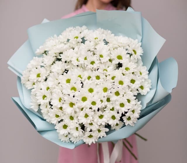 Стильный букет из 31 кустовой хризантемы в матовой бумаге (цвет на выбор) Стильный букет из 31 кустовой хризантемы в матовой бумаге (цвет на выбор)