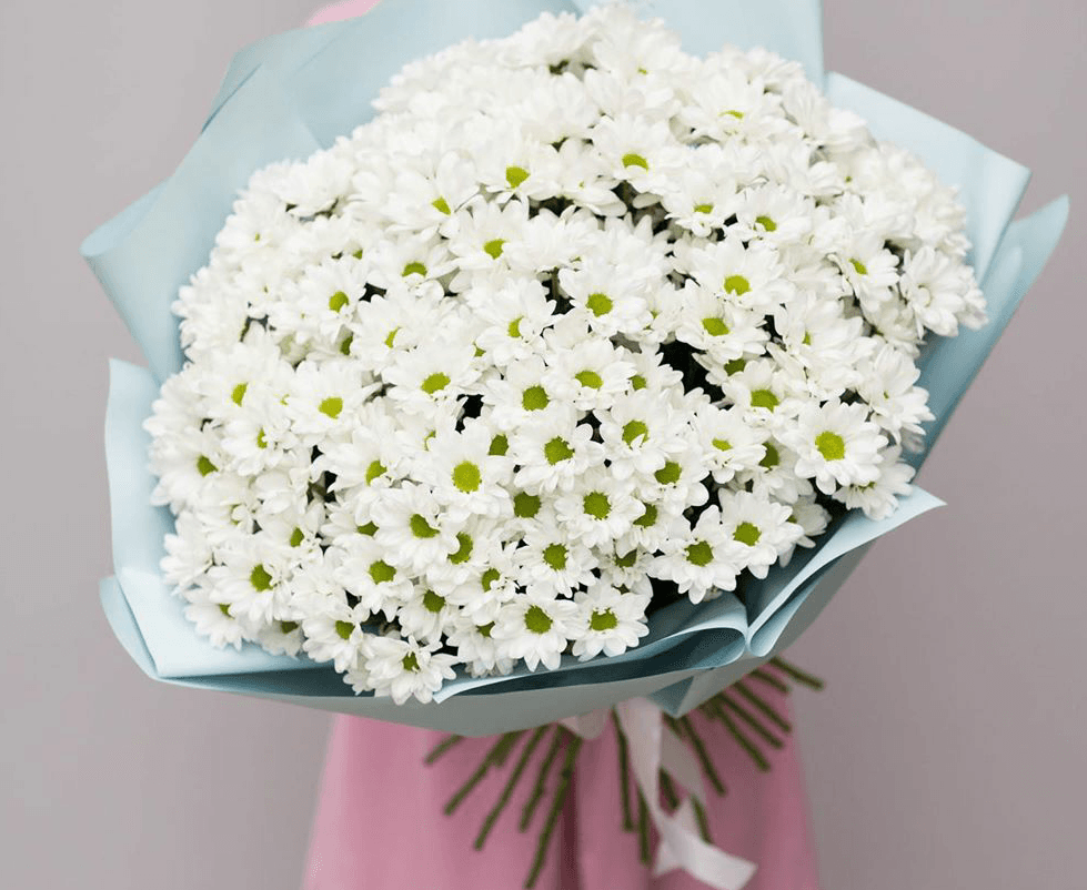 Стильный букет из 31 кустовой хризантемы в матовой бумаге (цвет на выбор)