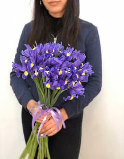 Букет из 35 ирисов