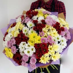 Букет из 41 кустовой хризантемы в крафте (цвет на выбор)