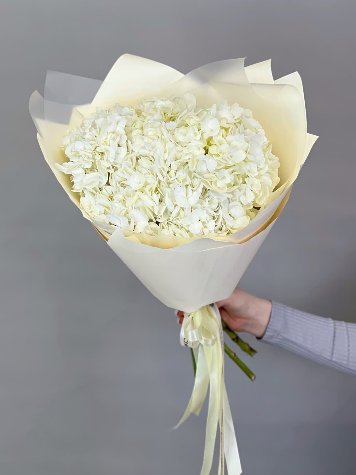 Цветочный букет из 5 белых гортензий