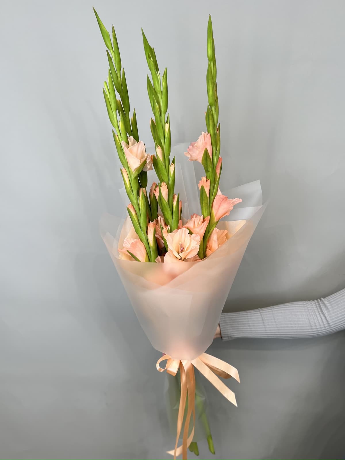 Букет из 5 гладиолусов персик в матовой бумаге