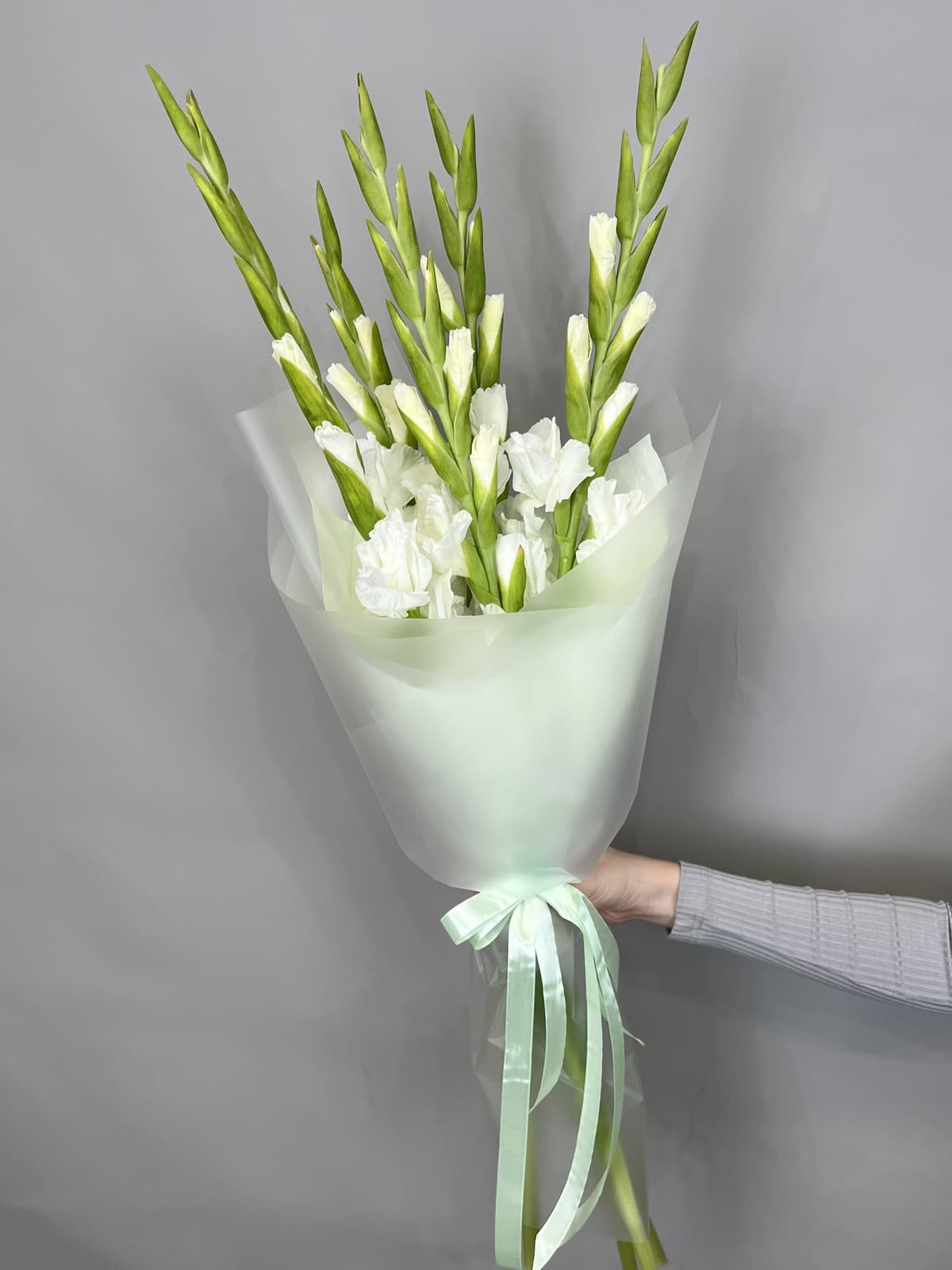 Букет из 5 Гладиолусов в матовой бумаге