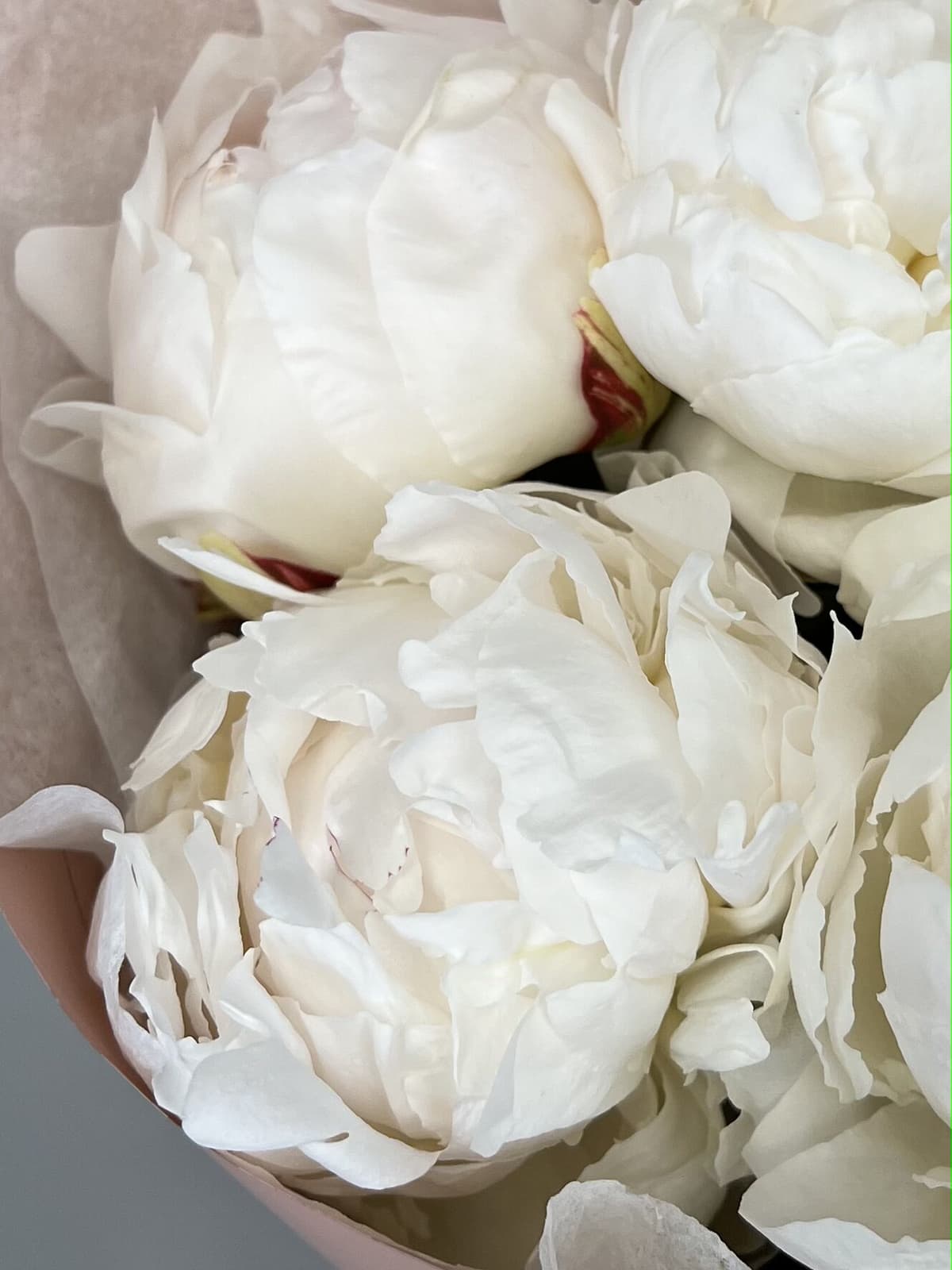 Стильный букет из 5 пионов Odile