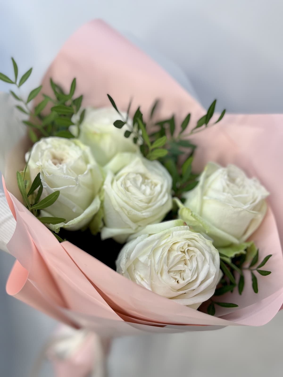 Букет из 5 Пионовидных Роз "Вайт Охара"