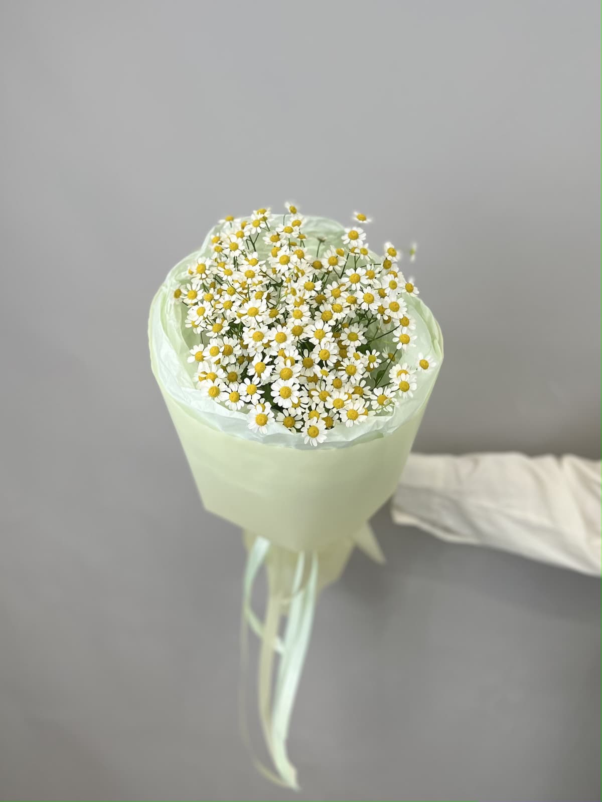 Мини букет из 5 полевых ромашек