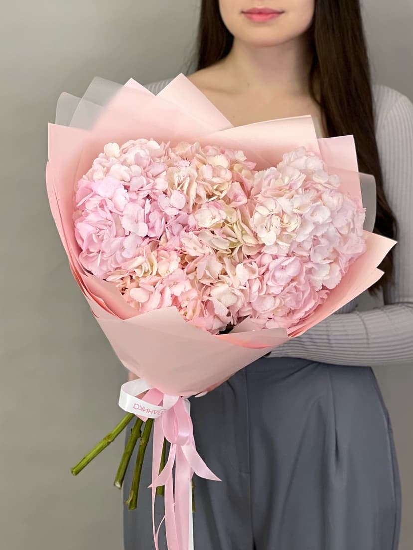 Гортензия Гортензия