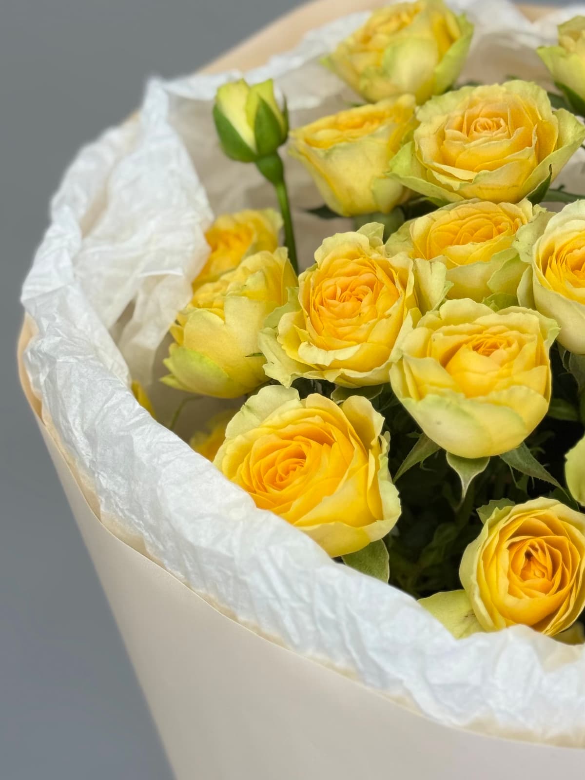 Букет из 5 желтых кустовых роз