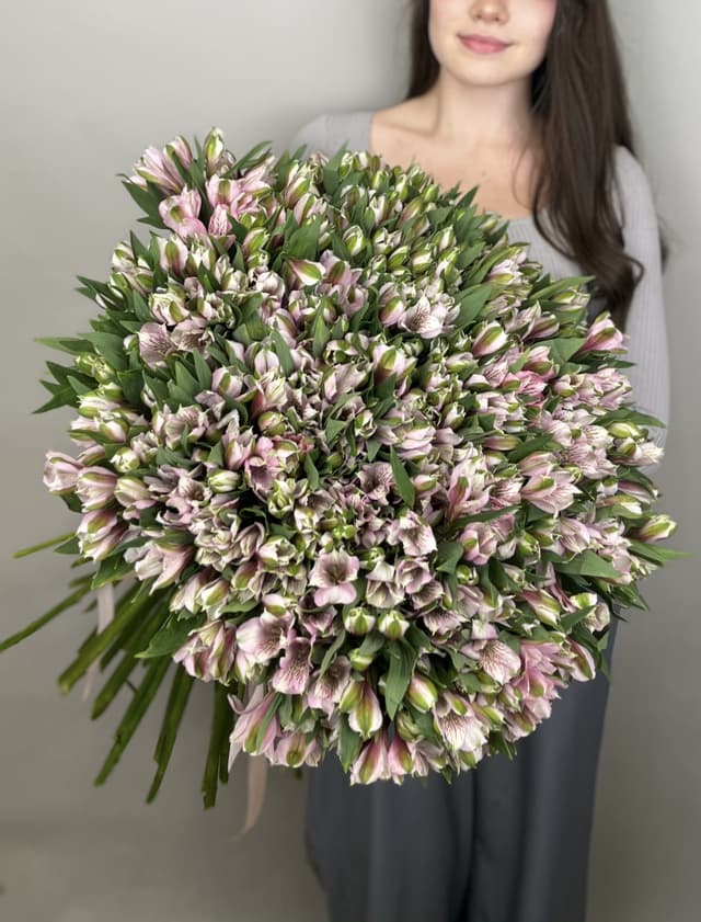 Прекрасный букет из 51 альстромерий "Primadonna" Прекрасный букет из 51 альстромерий "Primadonna"