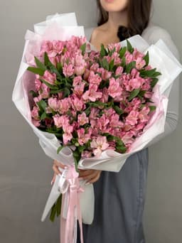 Прекрасный букет из 51 альстромерий "Primadonna"