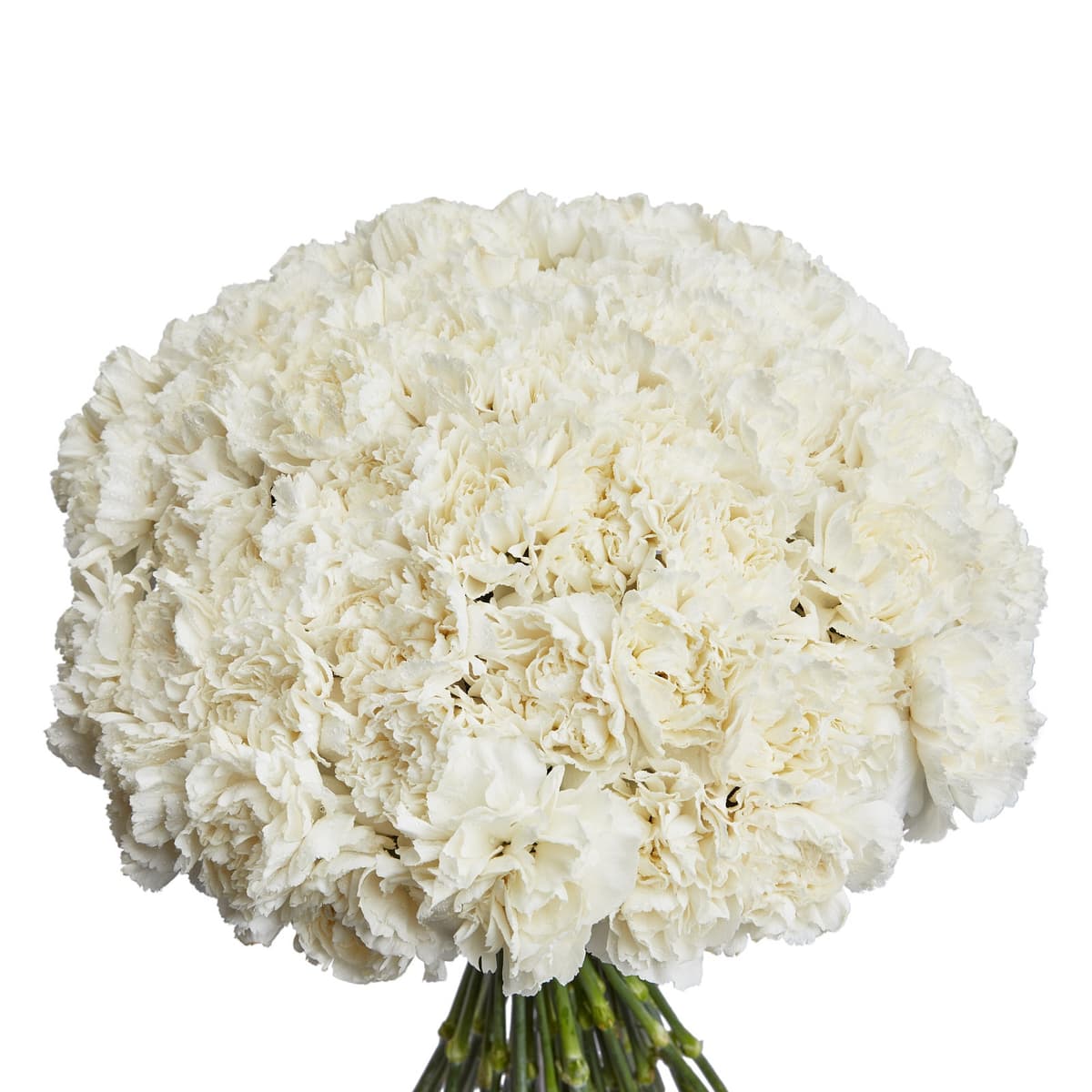 Дизайнерский букет из 51 белого диантуса