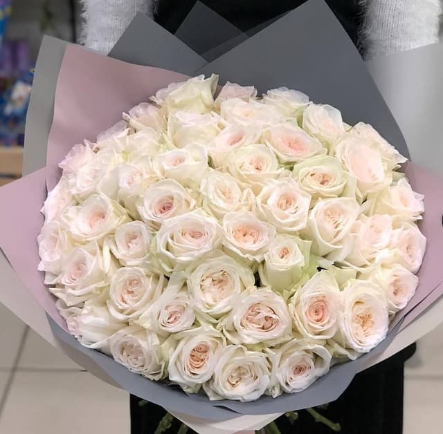 Букет из 51 Пионовидной розы White O’Hara в матовой упаковке Букет из 51 Пионовидной розы White O’Hara в матовой упаковке