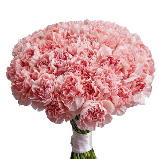 Цветочный букет из 51 розового диантуса Цветочный букет из 51 розового диантуса