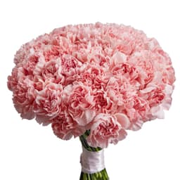 Цветочный букет из 51 розового диантуса