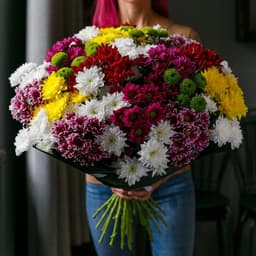 Букет из 55 хризантем микс ( цвет на выбор)