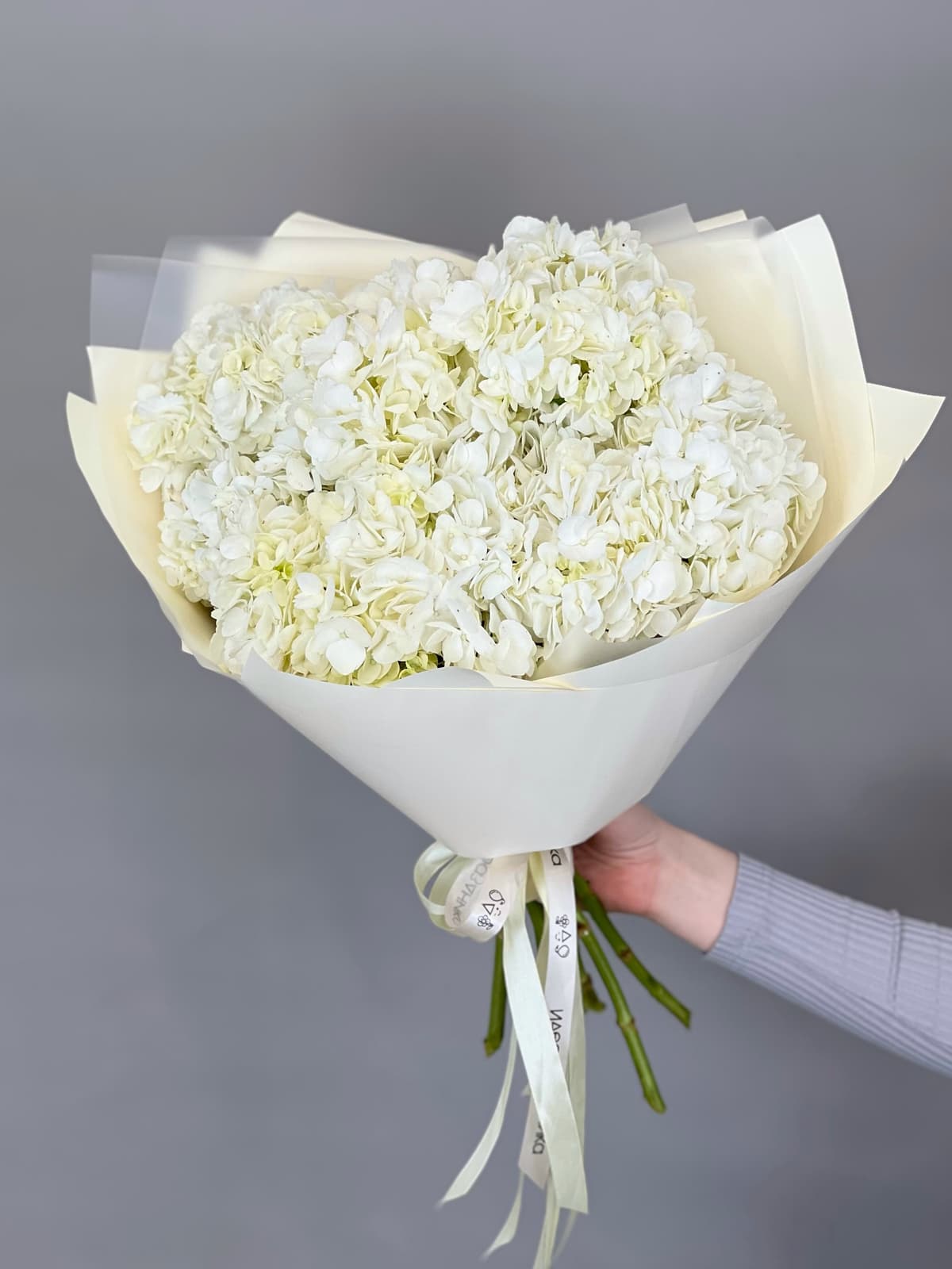 Букет из 7 белых гортензий
