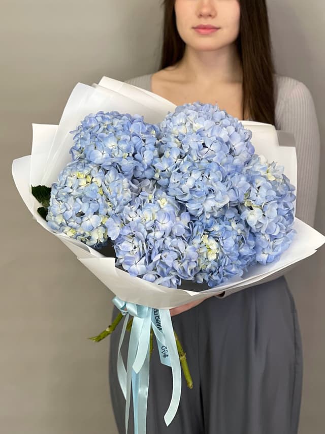 Букет из 7 голубых гортензий Букет из 7 голубых гортензий