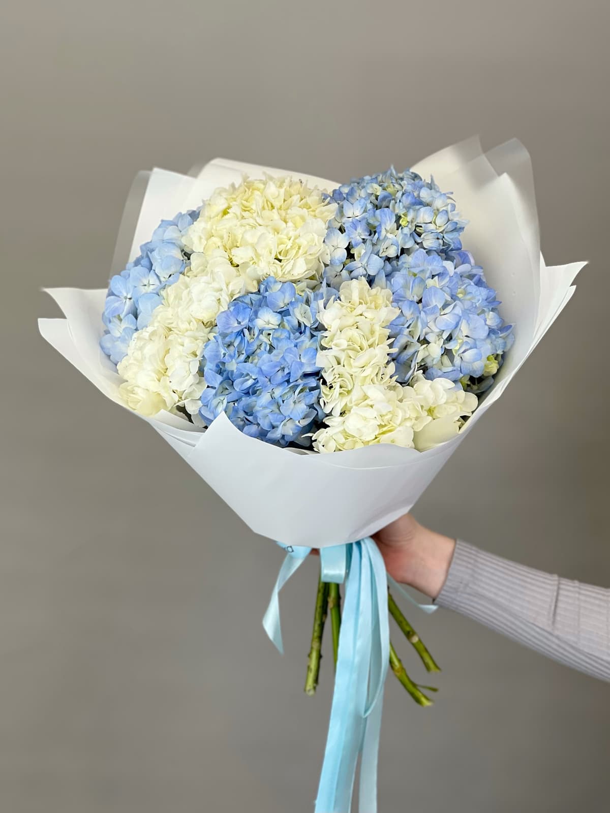 Праздничный букет из 7 гортензиий "Sky Blue"