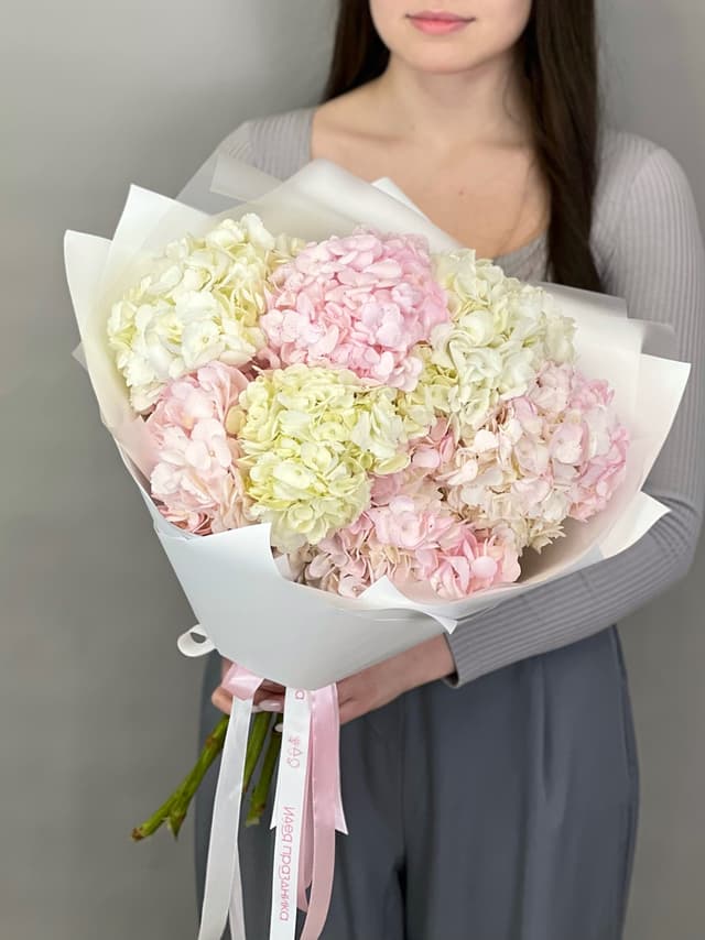 Букет из 7 гортензий «Румянец» Букет из 7 гортензий «Румянец»