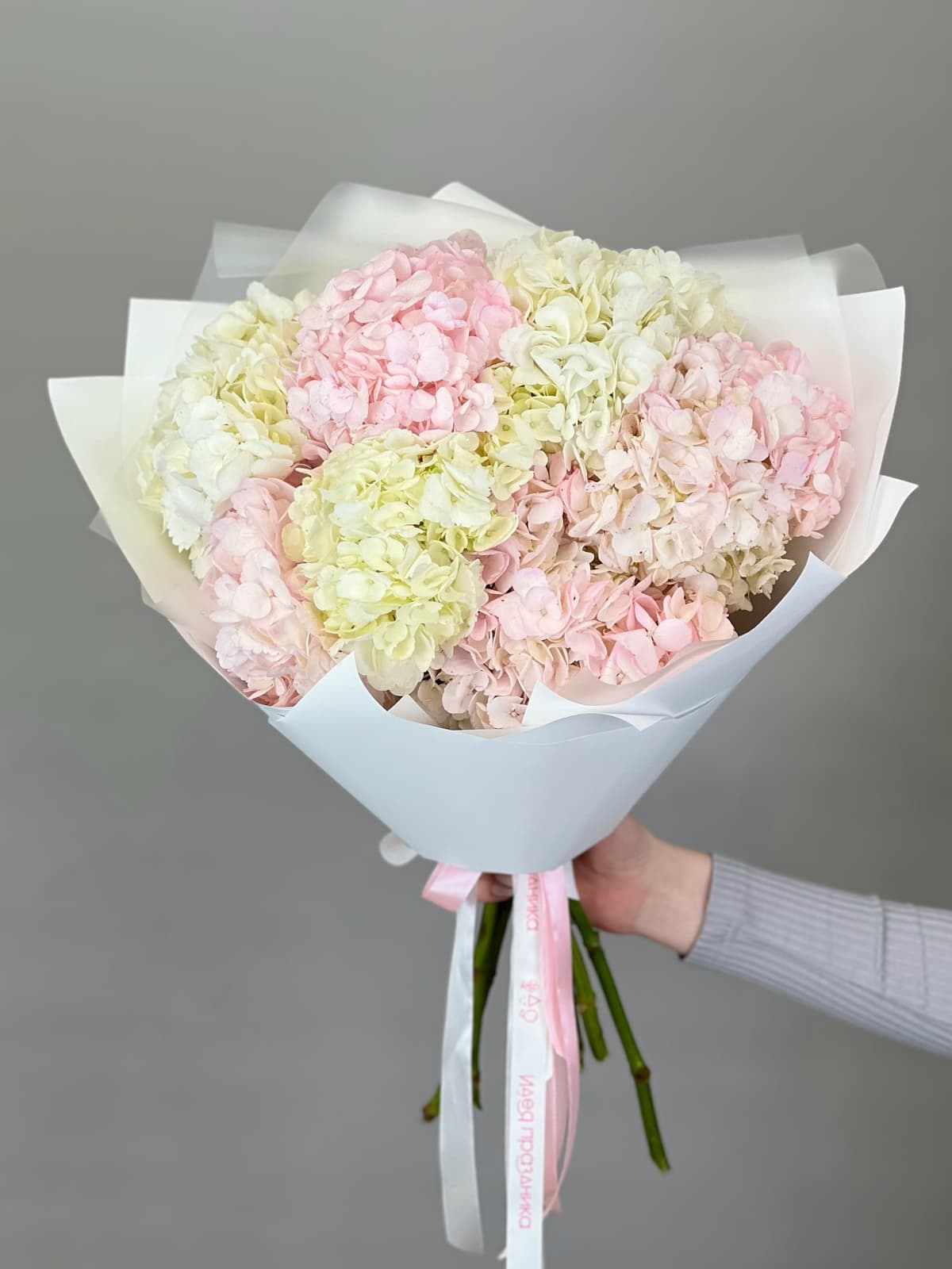 Букет из 7 гортензий «Румянец»