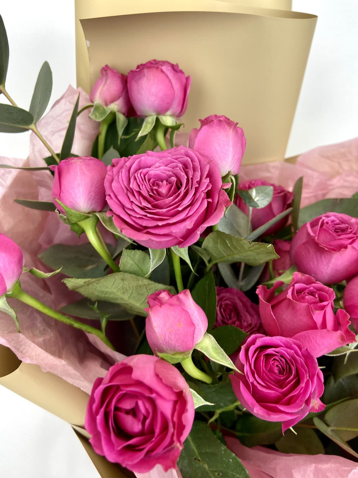 Букет из 7 кустовых пионовидных Роз Classic Sensation с эвкалиптом