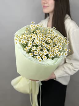 Праздничный букет из 7 полевых ромашек