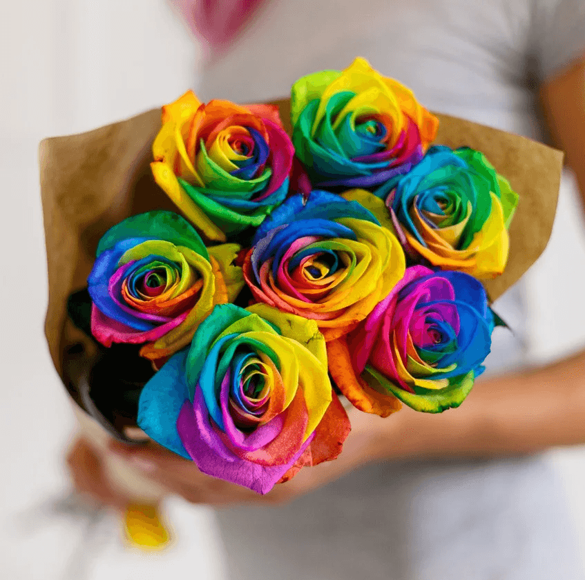 Букет из 7 радужных Роз Эквадор в крафте