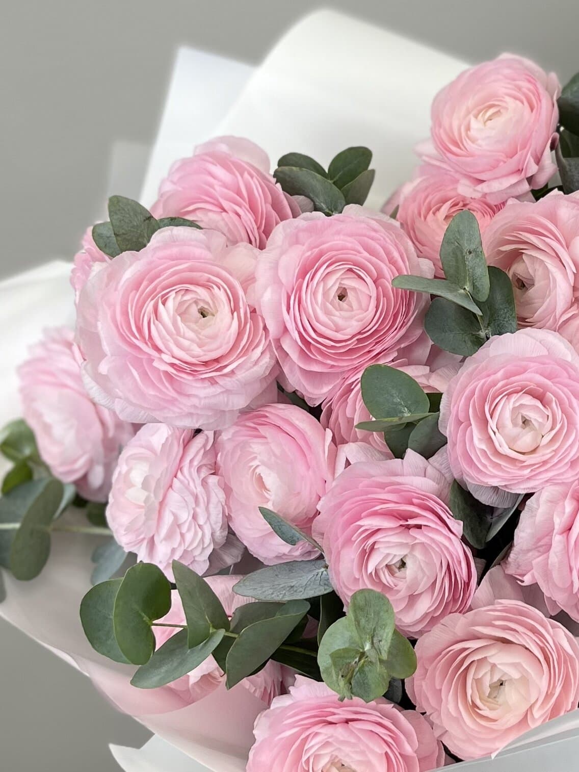 Букет из 7 ранункулюсов "Lady"