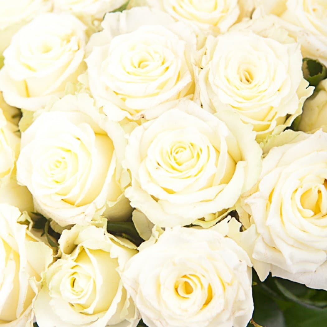 Букет из 75 роз 50 см