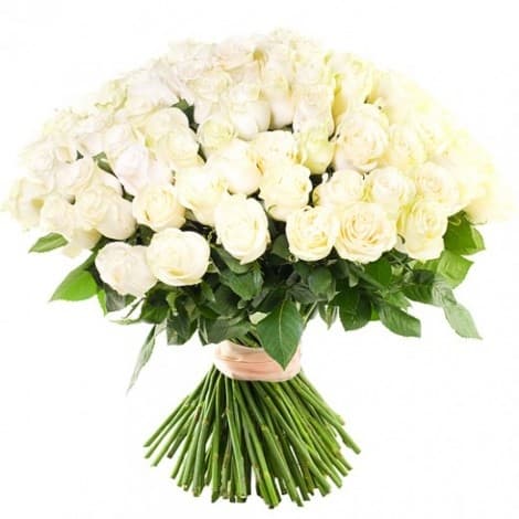 Букет из 75 роз 60 см Букет из 75 роз 60 см