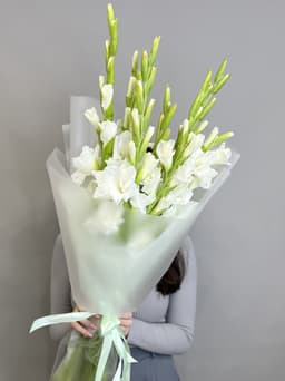 Букет из 9 Гладиолусов в матовой бумаге