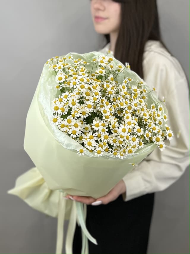 Красивый букет из 9 полевых ромашек Красивый букет из 9 полевых ромашек