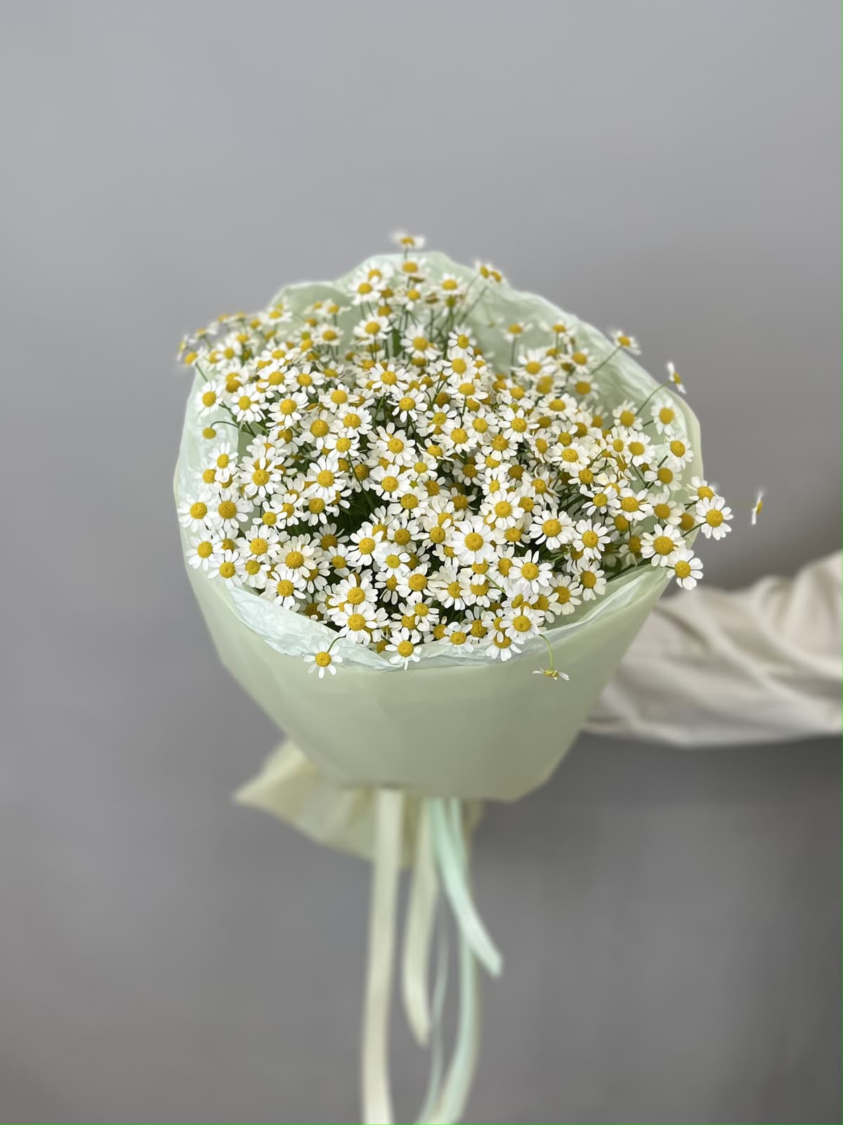 Красивый букет из 9 полевых ромашек